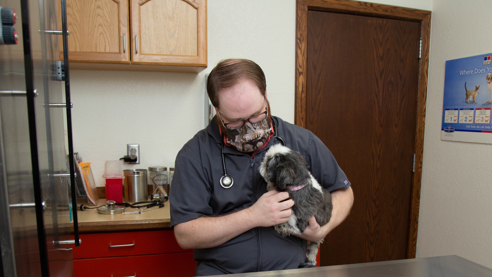 a vet staff holding a dog